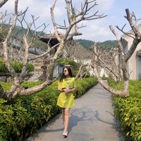 nhạc nền - Trà My