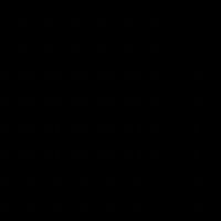alinazzv