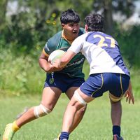 Si las gatas se amotinan en la disco se pico