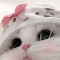 kiki_05.ki