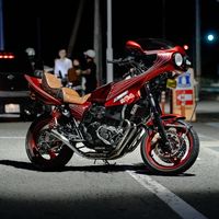 110_xjr