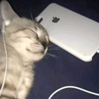 original sound