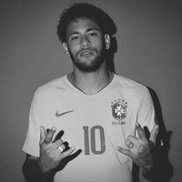b.f.l.w.lewandosk