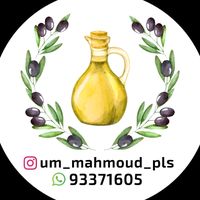 um_mahmoud_pls