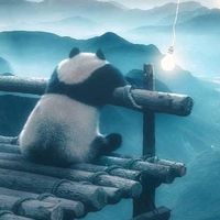 _pandita_23