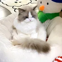 original sound - 1nonly___1