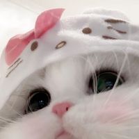 saku._.0750