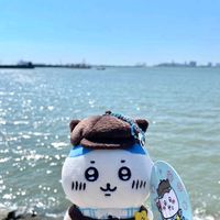 _mw.quyen