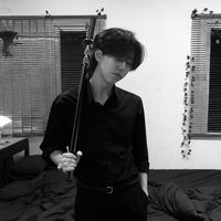 nocttiscia