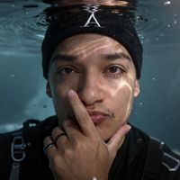 sabiadessa2.0