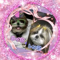オリジナル楽曲 - 🐶ྀིRen🐶ྀིR⃛ÜI🎀ིྀ