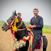malikvicky057