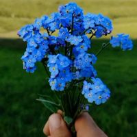 ensonum._66