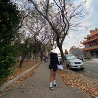 原聲 - 🫀