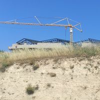 fatih_pala_11_16