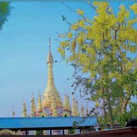 original sound - ရွှေမြိုင်ဆရာတော်တရားများ