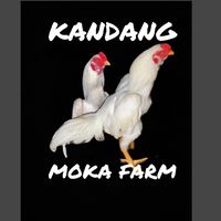 kandang_moka_farm