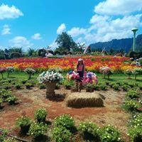 မူရင်းအသံ - 💐ตาชีว ตาชีว