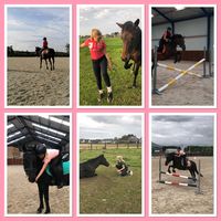ponysquads_