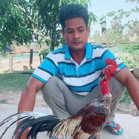 henhen12221