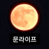 moonlife428800
