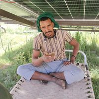 الصوت الأصلي