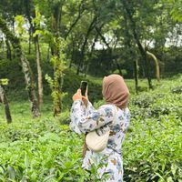 alishanur97