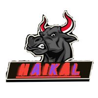 aikal.0405