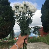 momo_4280