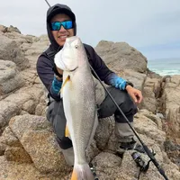 original sound - pesca_feliz