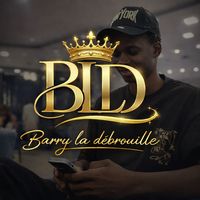 barryladebrouille27
