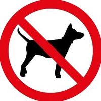 original sound - guntrumranger