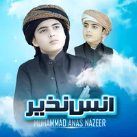 original sound - anas_nazeer_official