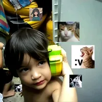 hay mi gatito miau miau