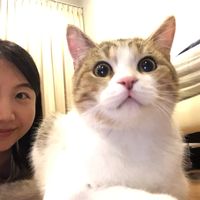 原声 - MALONG the Cat 😼