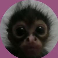 sqftielucy