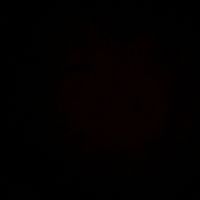 suara asli - selmaaa19