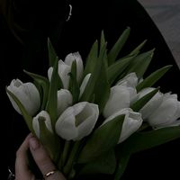 h.r_022