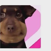 nhạc nền - nguyenduyhung