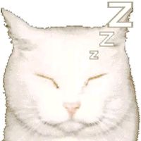 suara asli - ayon ⛓️
