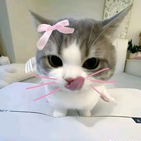 editha.dunggo