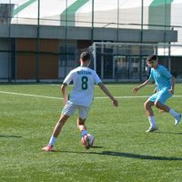 albion_ristani