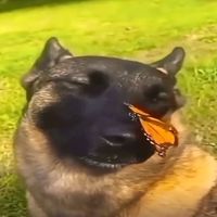 lwueiow