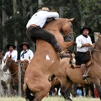 santigomez5155