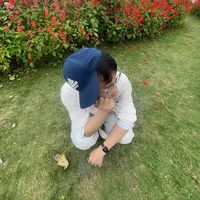 nhạc nền - D