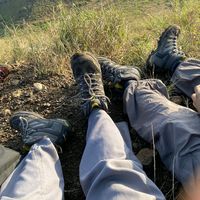 suara asli - prsty template