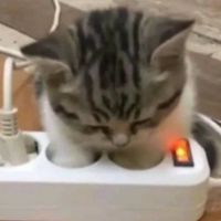 acbimbabyghostship