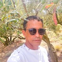 hamid34d