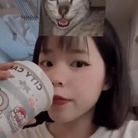ting_020
