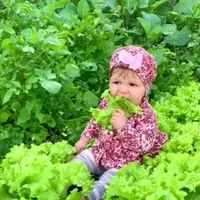 original sound - ducristalia